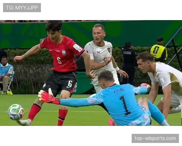 世界杯A组捷克媒体聚焦韩国队威胁